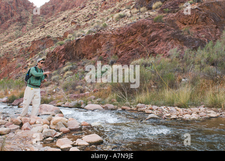 Ein Mann ist das Fliegenfischen am Bright Angel Creek im Phantom Ranch am unteren Rand des Grand Canyon Stockfoto