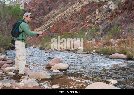 Ein Mann ist das Fliegenfischen am Bright Angel Creek im Phantom Ranch am unteren Rand des Grand Canyon Stockfoto