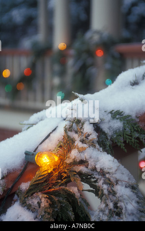 Nahaufnahme von Weihnachtsbeleuchtung Leuchten inmitten von Schnee und Ziergrün rund um ein Haus in Fayetteville, Arkansas Stockfoto