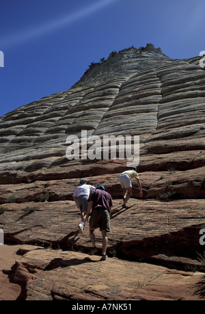 USA, UT, Zion National Park. Checkerboard Mesa. Stockfoto