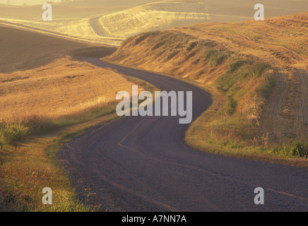 NA, USA, Washington, östlich von Colfax, Schotterstraße durch Felder Weizen und Erbsen Stockfoto