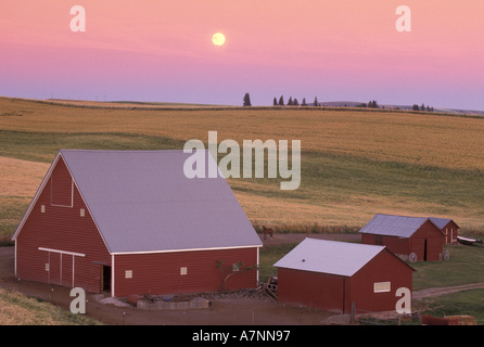 NA, USA, Washington, NW der Colfax, Mondaufgang bei Sonnenuntergang mit roten Scheunen Stockfoto