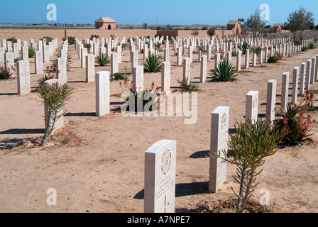 Tobruk (Commonwealth) Soldatenfriedhof, Tobruk, Libyen Stockfoto