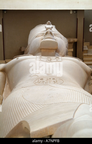 Koloss Statue von Ramses II, Memphis, Ägypten Stockfoto
