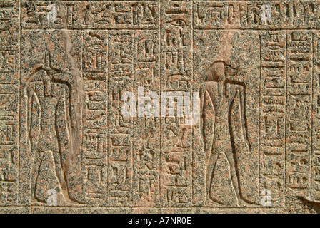 Schnitzereien auf dem Sarkophag des Amen-Hotep, Memphis, Ägypten Stockfoto