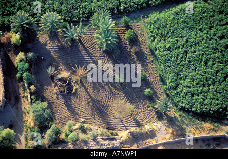 Ägypten, Luxor, landwirtschaftliche Felder (Luftbild) Stockfoto