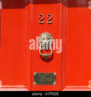 Dublin-Irland-Türen Stockfoto