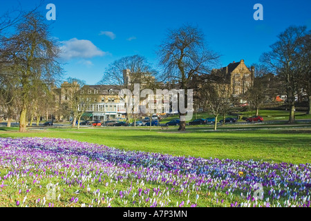 West Park streunende im Frühjahr Harrogate England UK Stockfoto