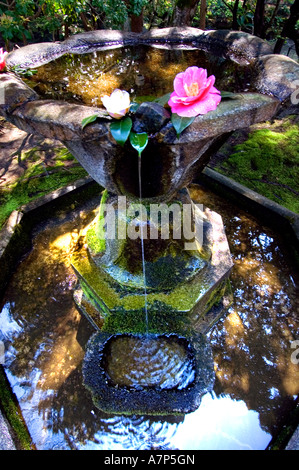 Nanzenji Nanzen-Ji Tempel Kyoto Japan japanische Stockfoto