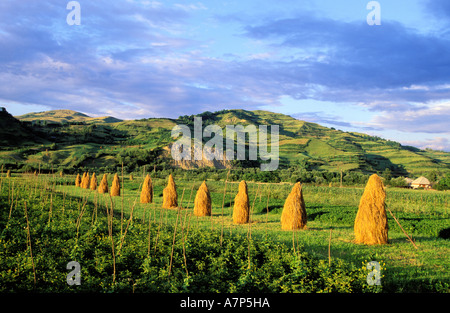 Rumänien, Karpaten Berge, Maramures Region, Iza-Tal Stockfoto