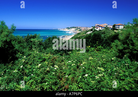 Frankreich, Pyrenees Atlantiques Baskenland, Guéthary Stockfoto