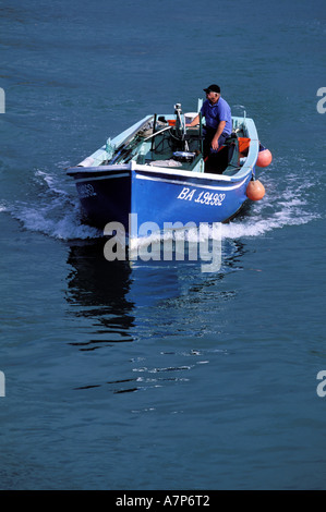 Frankreich, Pyrenees Atlantiques, Pays Basque, Saint Jean de Luz, Angeln Stockfoto