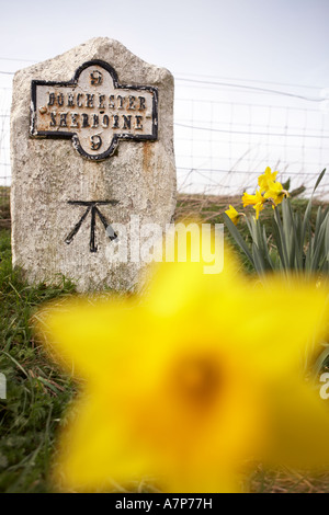 Meilenstein auf der A352 neun Meilen zwischen Dorchester und Sherborne Städte in Dorset county England UK 12 03 2007 Stockfoto