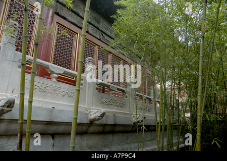 China Beijing Chinesen verbotene Stadt A Pavillon und Bambus In den kaiserlichen Garten Stockfoto