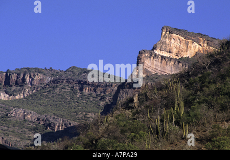 Kakteen wachsen über die Landschaft von den Kupfer Canyon in der Nähe von Batopilas, Chihuahua, Mexiko. Stockfoto