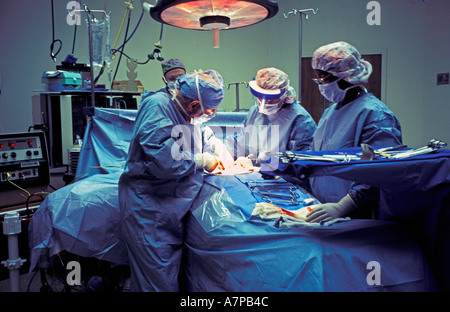 OP-Team führt Nierentransplantation im OP-Saal Stockfoto