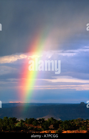 Abend-Regenbogen über Westrand des Canyonlands National Park in Utah USA Stockfoto