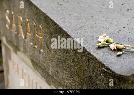 Bernhardt Grab. Père-Lachaise Friedhof. Paris. Frankreich. Stockfoto