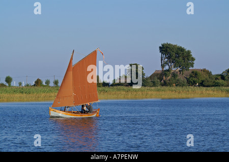 Wustrow Fischland-Darß Hafen zur Häuser Reetdach Schilf Stockfoto