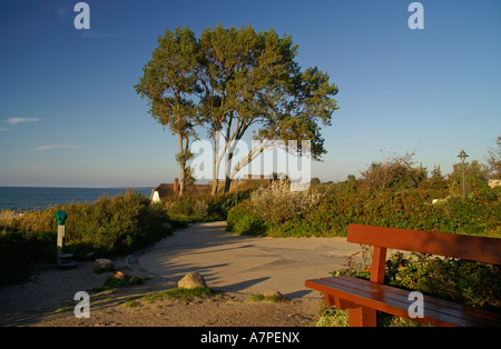 Ahrenshoop Darß Fischland Mecklenburg-Vorpommern Stockfoto