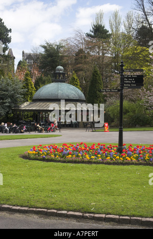 Valley Gardens, Harrogate, Yorkshire, England, Großbritannien - schöner Park mit Café (bunte Frühlingsblumen, krautige Grenze, sitzende Menschen, entspannend). Stockfoto