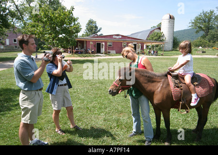 Virginia Loudoun County, Bluemont, Great Country Farms, Hunde, Haustiere, Hunde, Tier, Haustier Haustiere Tage Sonnenblume und Berry Festival, Festivals, Feier, Stockfoto