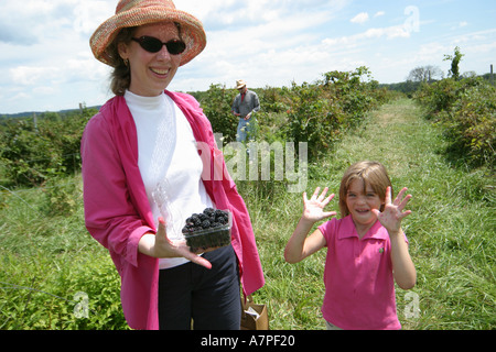 Virginia Loudoun County, Bluemont, Great Country Farms, Hund, Haustier, Hund, Tier, Haustier Tage Sonnenblume & Berry Festival, Festivals fair, Brombeeren pflücken, VA0 Stockfoto