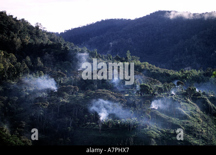 Indonesien, Irian Jaya, Baliem Tal Tangineri Inseldorf Stockfoto