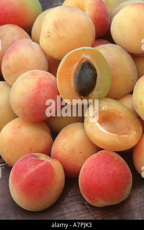 Aprikosenbaum (Prunus Armeniaca), Aprikosen auf einem Tisch, Deutschland Stockfoto