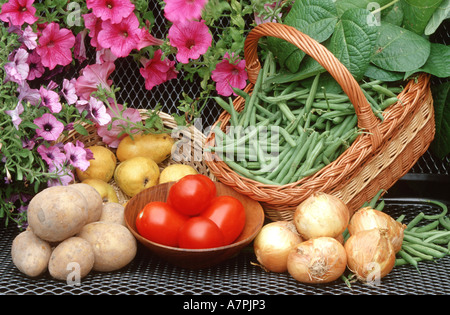 verschiedene Arten von Garten Obst und Gemüse Stockfoto