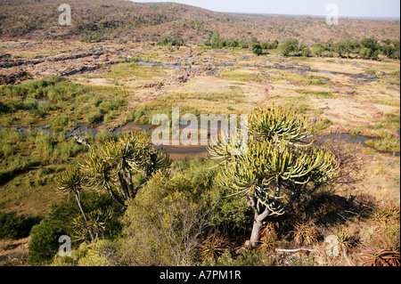 Eine malerische Aussicht auf der Olifants River Gorge im as von Olifants Camp Krüger-Nationalpark gesehen. Stockfoto