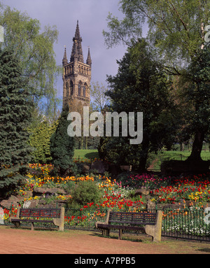 Glasgow University Tower, Glasgow, Schottland, Großbritannien. Von Kelvingrove Park Stockfoto