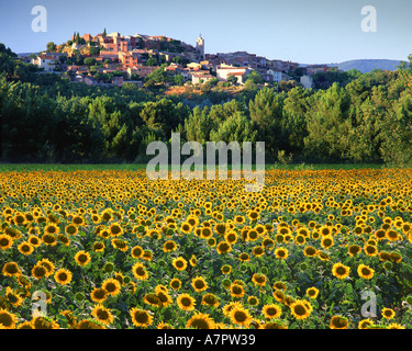 FR - LANGUEDOC: Roussillon Stockfoto