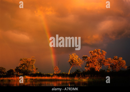 Regenbogen und Gewitterwolken Okavango Delta Jao-Botswana Stockfoto