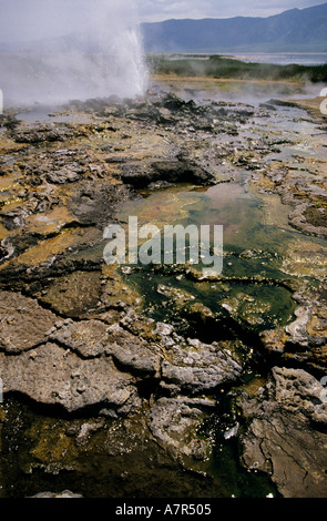 Hot Springs Lake Bogoria Kenia Afrika mit Flamingos in Ferne Stockfoto