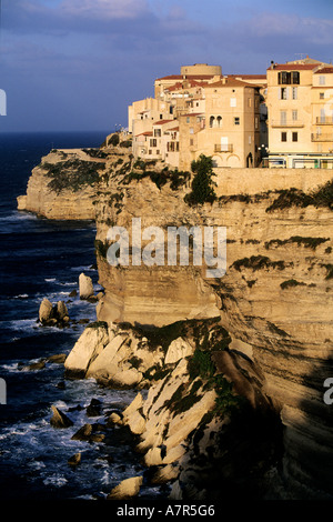 Frankreich, Corse du Sud, Häuser der Altstadt von Bonifacio thront auf dem kalkhaltigen Hügel Stockfoto