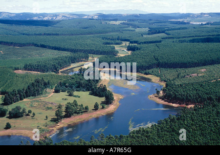 Eine Luftaufnahme über kommerzielle Waldplantagen und der Klipkoppie-Damm in Mpumalanga in der Nähe von White River, Mpumalanga Stockfoto