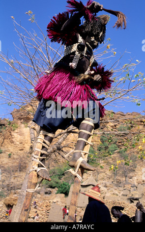 Mali, Dogonland, Dama Tänze (Ende der Trauer) im Dorf Tereli, Maske auf Stelzen kalt Turteltaube Stockfoto