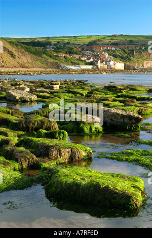 Robin Hoods Bay North Yorkshire Stockfoto