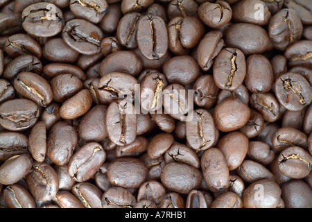 Kaffee Bohnen Stockfoto