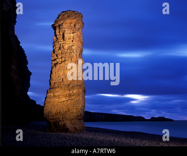 Kalkstein Meer Stack Marsden Bay an der Küste von South Tyneside im Norden Englands. Viele Frau genannt. Stockfoto