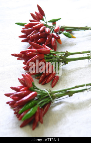 Nahaufnahme von Trauben von Chilischoten Stockfoto