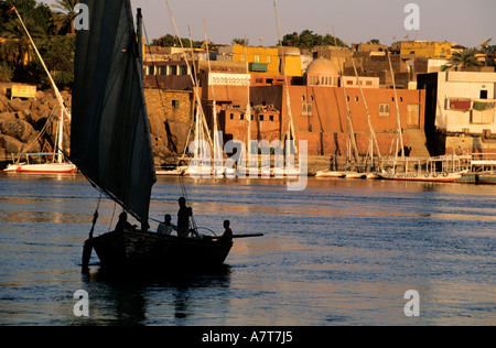 Ägypten, Nil Tal, Assuan, Feluken vor Insel Elephantine Stockfoto