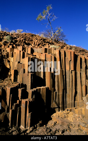 Namibia, Damaraland Region, Orgelpfeifen gebildet von 4 Meter hohen Basaltsäulen, in der Nähe von Twyfelfontein Stockfoto