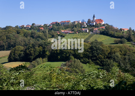 Weinberg vor Glockenturm auf Hügel, Sankt Anna am Aigen, Steiermark, Österreich Stockfoto