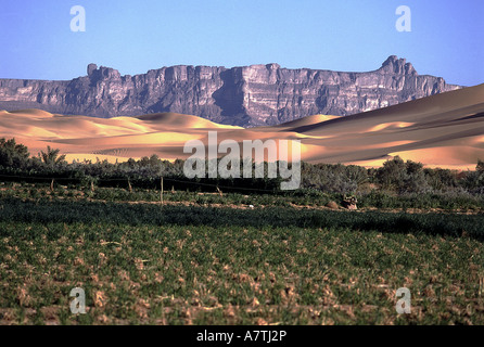 Felsformationen mit Sanddünen in der Sahara Wüste, Fezzan, Libyen Stockfoto