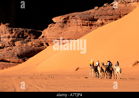 Libyen, Sahara, Kamel Trekking im Akakus-massiv Stockfoto