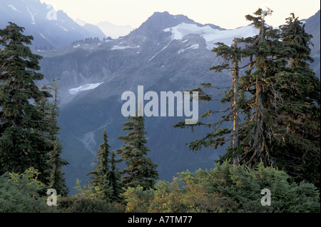 NA, USA, Washington, Mt. Baker-Snoqualmie NF. Südlich von des Künstlers Punkt anzeigen Stockfoto