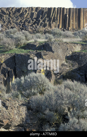 NA, USA, Washington, Eastern Washington, Schlaglöcher SP. Salbei und Balsaltic rock Stockfoto