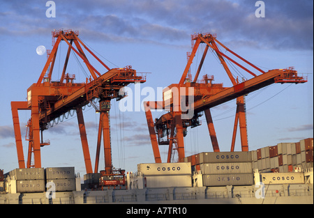 USA, Bundesstaat Washington, Seattle, Harbor Island. COSCO Schiff und Ladekranen. Stockfoto